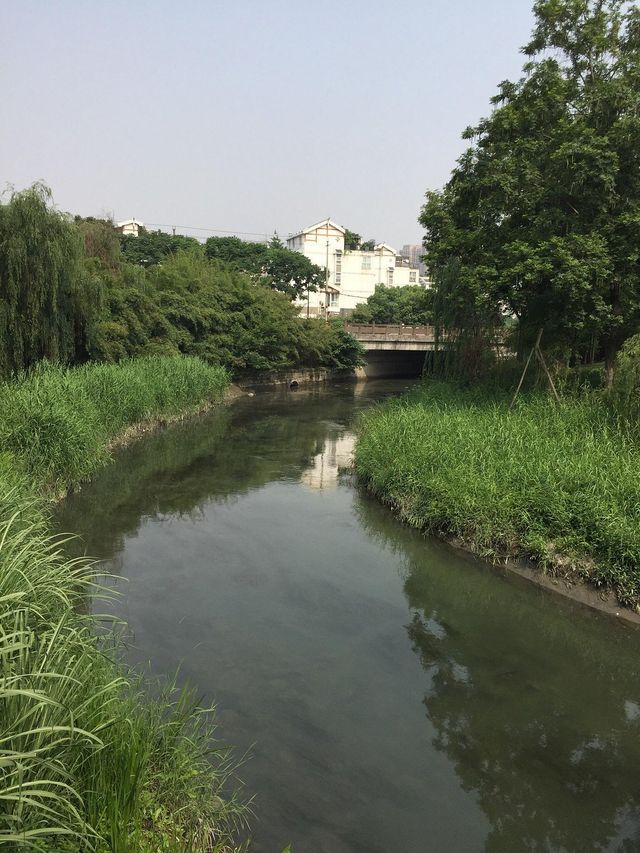 Charming Chengdu: The Heart of Sichuan