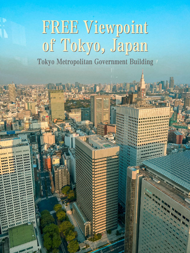 FREE Observation Deck in Tokyo at Metropolitan Government Building 🇯🇵