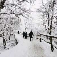 Plitvice full day tour