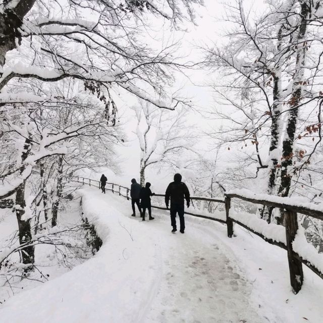 Plitvice full day tour