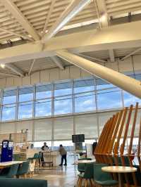 부쿠레슈티 공항