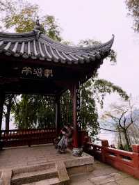 A Day of History and Wonders: Shuju Ancient Town & Leshan Giant Buddha