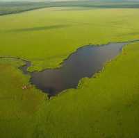   Kolkheti national park-the defender of nature
