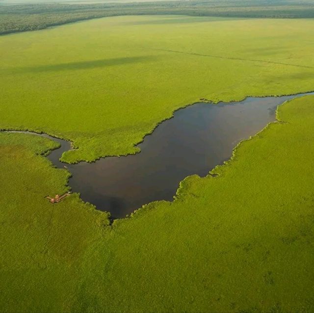   Kolkheti national park-the defender of nature
