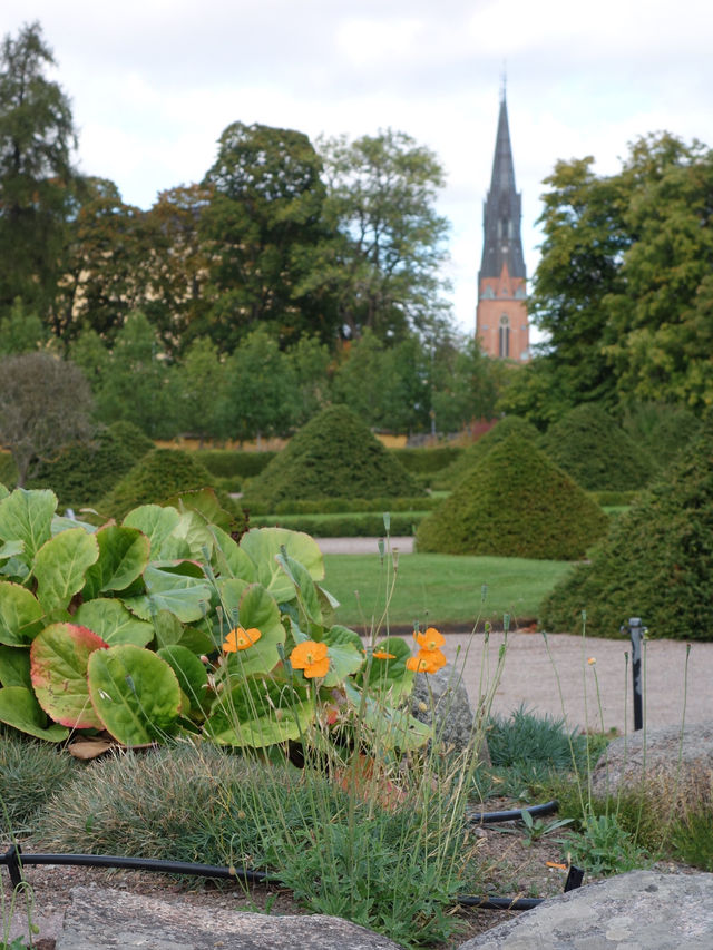 Uppsala: A City of History and Culture