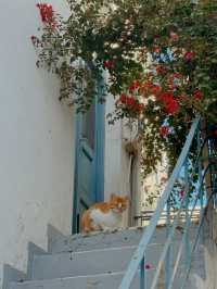 Enjoying the Beauty of Paros