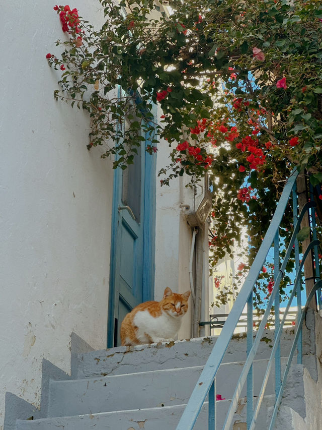 Enjoying the Beauty of Paros