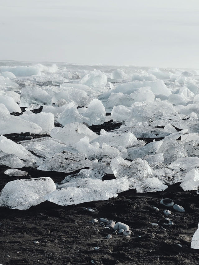 Exploring the View of Reykjavík