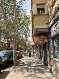 Palma in 24 hours 