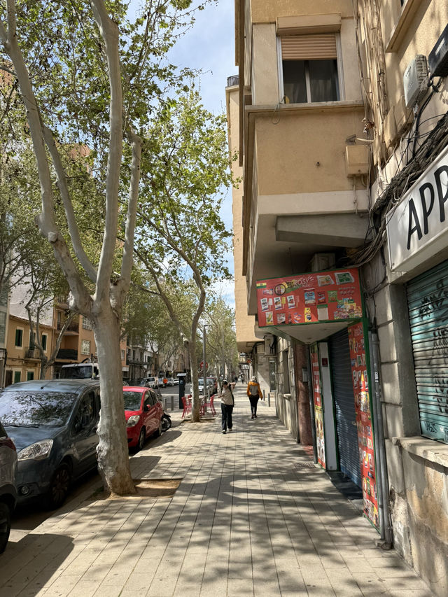 Palma in 24 hours 