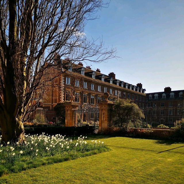 Spring in Cambridge: Where Ivy Grows and Rivers Flow
