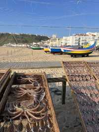 🇵🇹 포로투갈의 멋진 나자레 해변