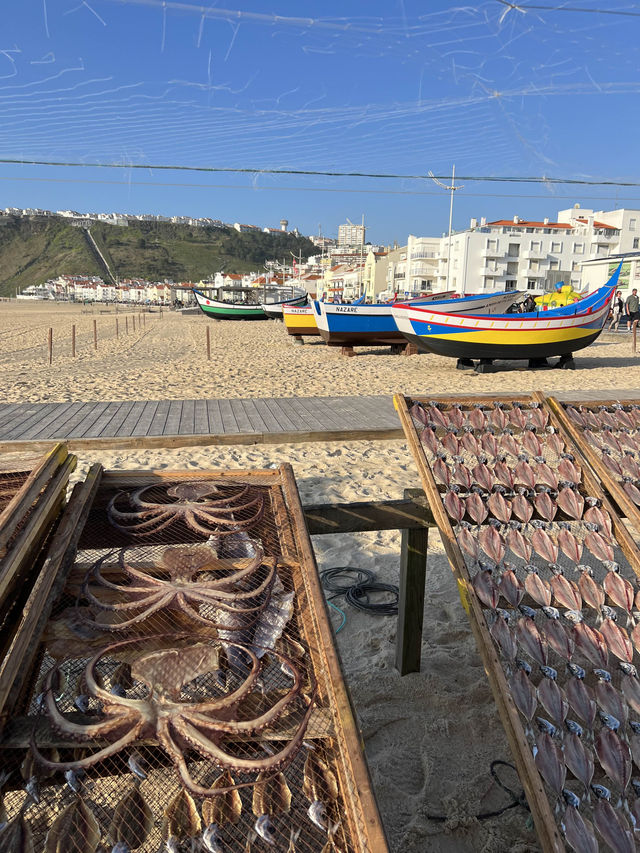 🇵🇹 포로투갈의 멋진 나자레 해변