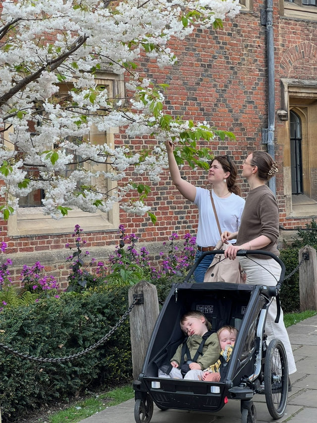 Academic Weapon in Her Soft Girl Era in Cambridge