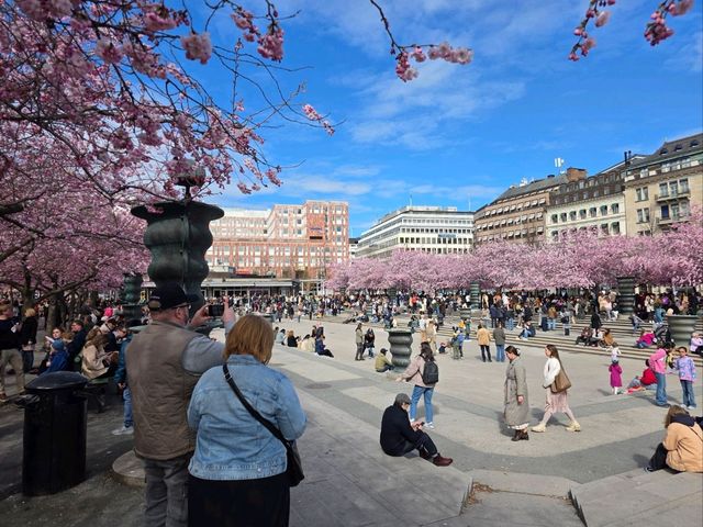 who would have thought? who would have thought?