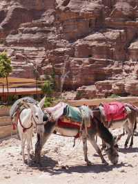 Petra - One of the seven new wonders of the world ✨