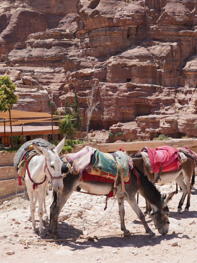 Petra - One of the seven new wonders of the world ✨