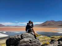해외여행 볼리비아의 붉은 호수 Laguna Colorada