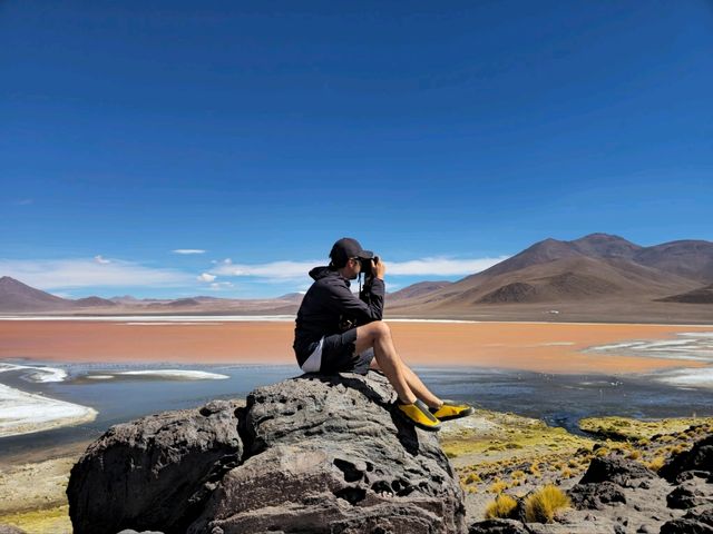 해외여행 볼리비아의 붉은 호수 Laguna Colorada