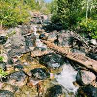 🏞️ Top Hikes in Grand Teton National Park