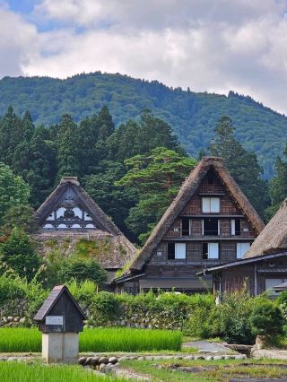 Shirakawa-go: A Timeless Village in the Japanese Alps