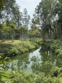 Free hot spring in Surat Thani