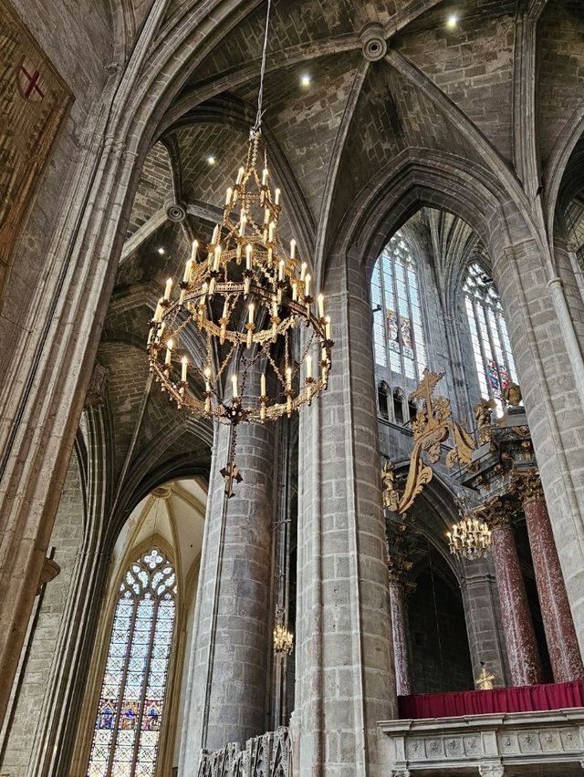 🇫🇷 Narbonne in One Morning: A Hidden Gem Worth Waking Up For 🌞