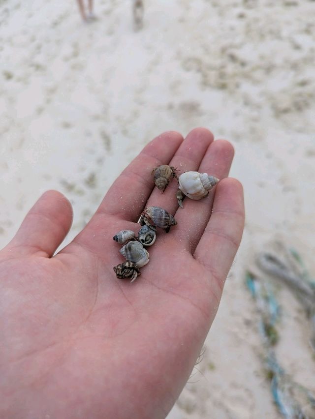 Philippines, Two Day Trip to Bohol Island