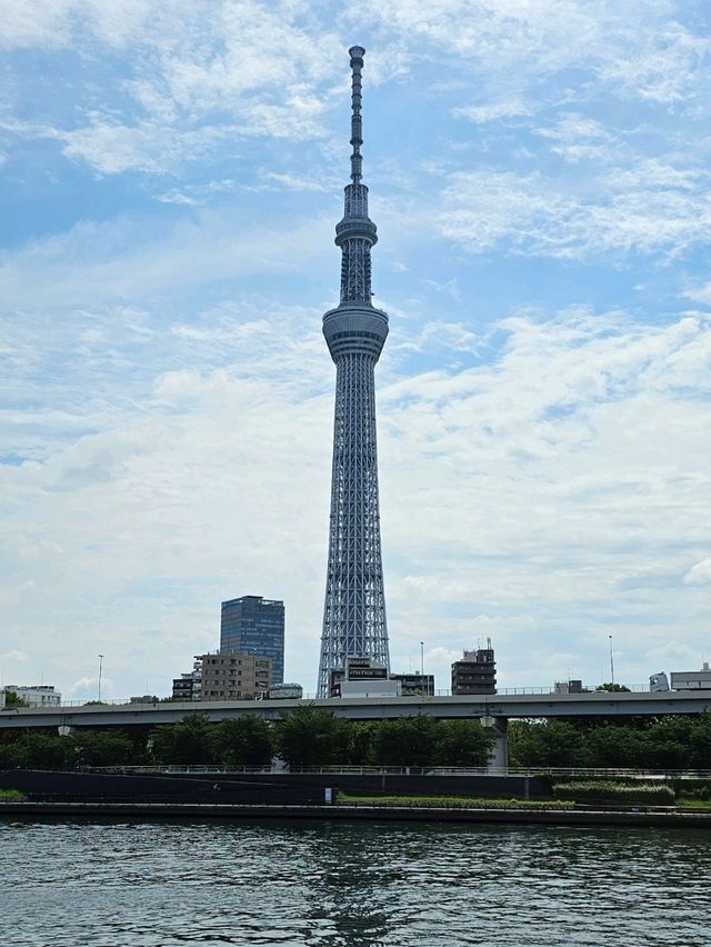 🗼 Tokyo Skytree: Is It Worth Going Up?