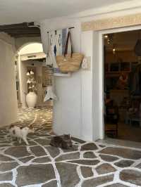Naxos island - Gems of the Cyclades in Greece