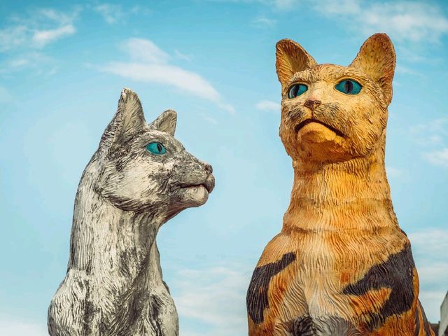 Kuching, Borneo: A Cat Lover’s Paradise  