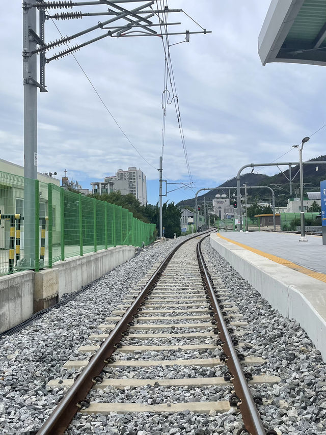 🌊 동해안의 물결과 대전의 고요, 다른 결을 걷다 🛤️