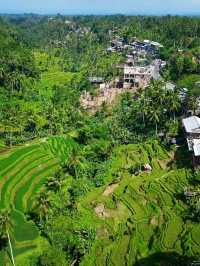 Tegallalang Rice Terraces, Bali: A Green Paradise of Harmony and Heritage