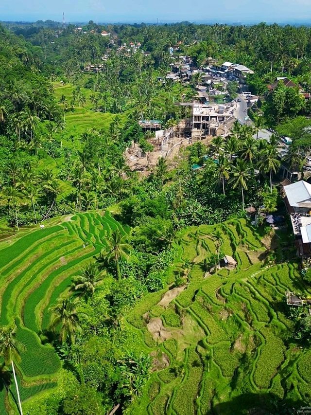Tegallalang Rice Terraces, Bali: A Green Paradise of Harmony and Heritage
