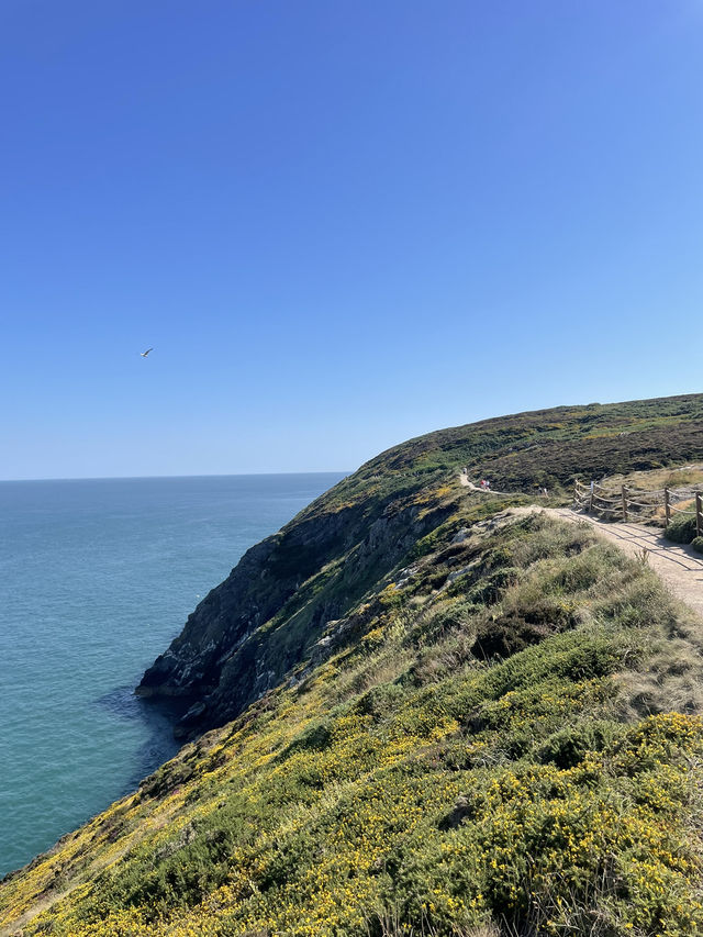 더블린에 오면 꼭 가야할 Howth cliffs walk!