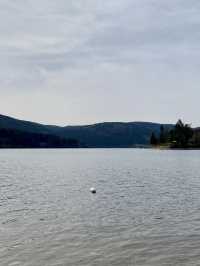 TITISEE LAKE BLACK FOREST🚤