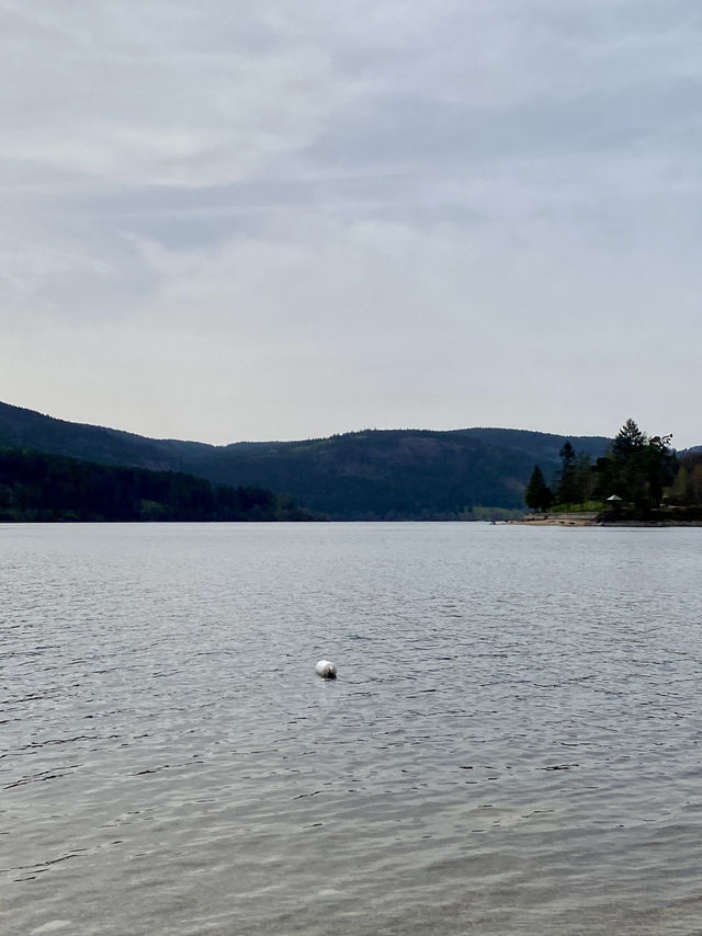 TITISEE LAKE BLACK FOREST🚤
