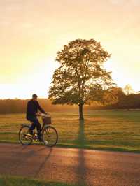 Richmond Park: London’s Wild Heart Where Deer Roam Free