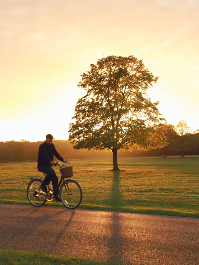 Richmond Park: London’s Wild Heart Where Deer Roam Free