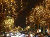 🎄 Christmas in Bucharest – The Most Beautifully Decorated Places to Visit