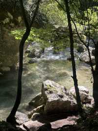 Cuves Nature Escape🌲