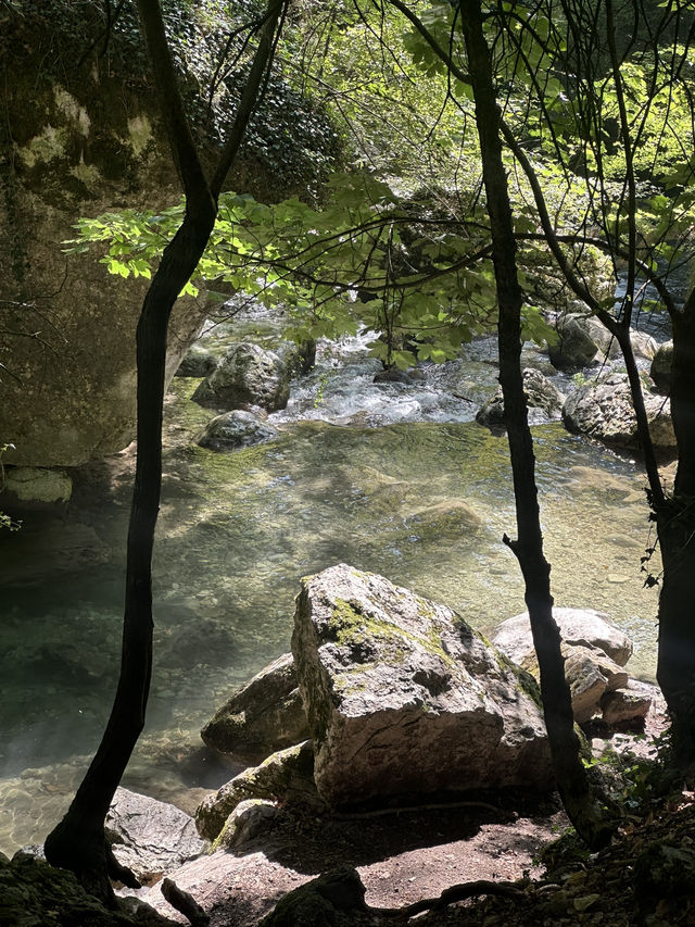 Cuves Nature Escape🌲