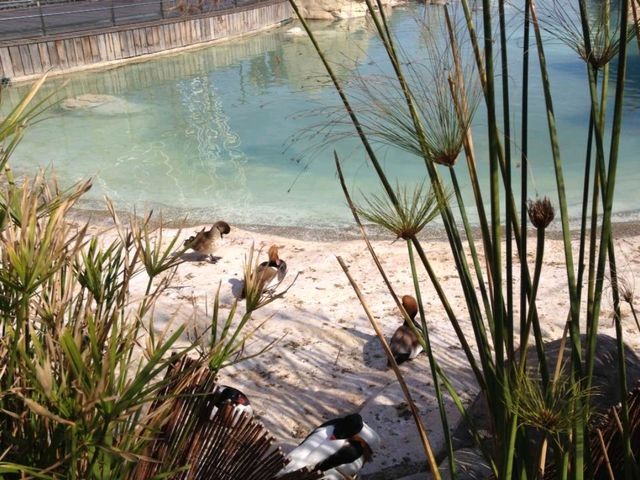 This European city lives in 2050 🤯