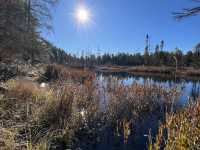 Algonquin Provincial Park