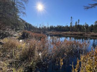 Algonquin Provincial Park