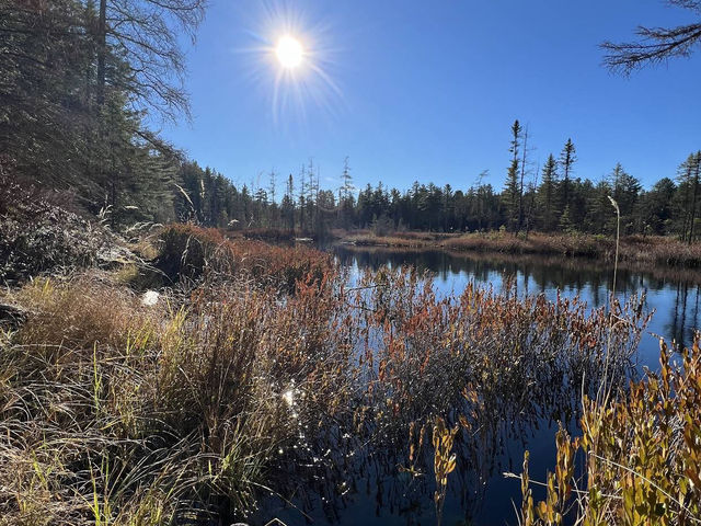 Algonquin Provincial Park Algonquin Provincial Park