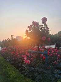 Красивые локации для фото в Шанхае (часть 2)