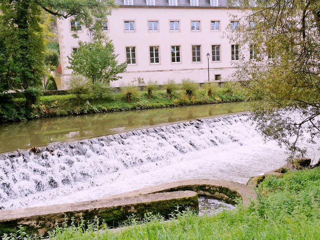 The Grand Secret is Out: Why Everyone is Flocking to Luxembourg 🇱🇺