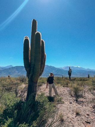 Incredible Scenery From Salta to Cafayate 🇦🇷