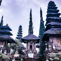 Temple Hopping In Bali!